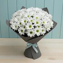 Букет цветов из:  Хризантемы #REPLACE_PRED# Васильевское