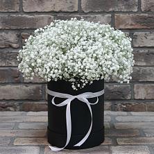 Цветочная композиция из Гипсофила в шляпной коробке в Васильевское
